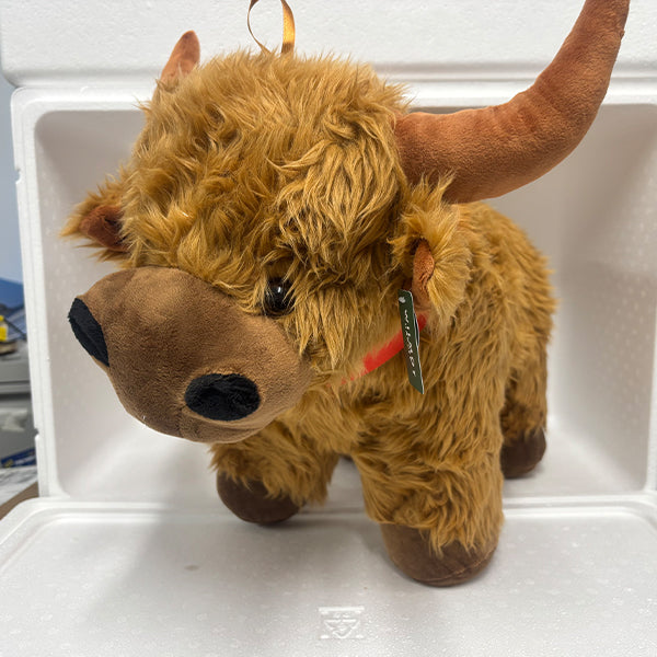 HIGHLAND COW - LARGE